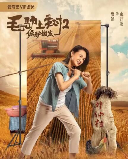 欧美网站一区二区